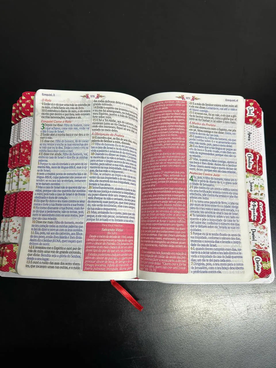 Bíblia Da Mulher Sábia - ESTUDO