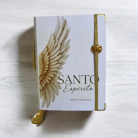 Bíblia Sagrada - Evangélica letra Gigante com abas- Coleção Espírito Santo
